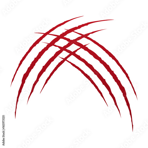 Animals claw. Vector.