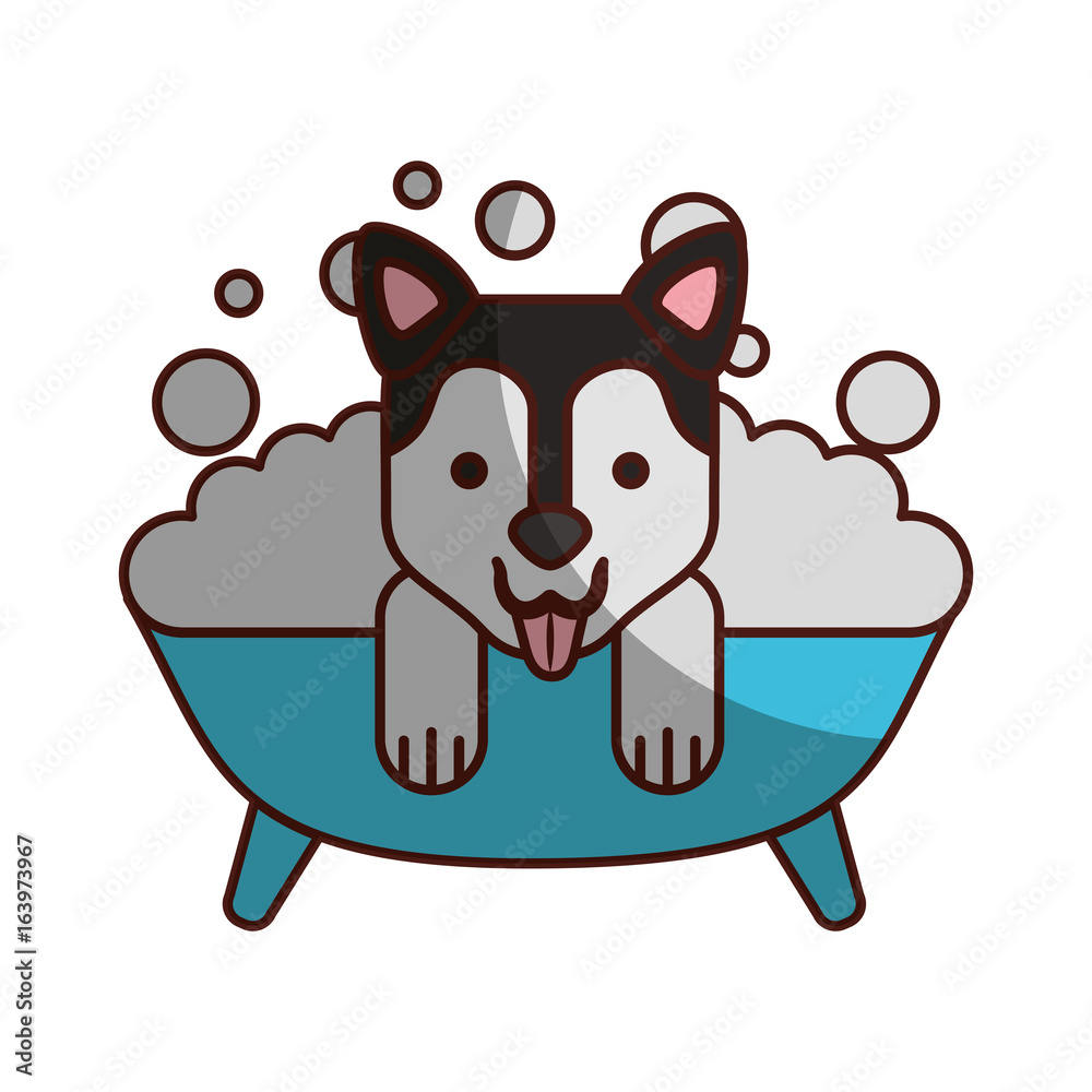 Fototapeta premium cute Dog bathing in the tub vector illustration design