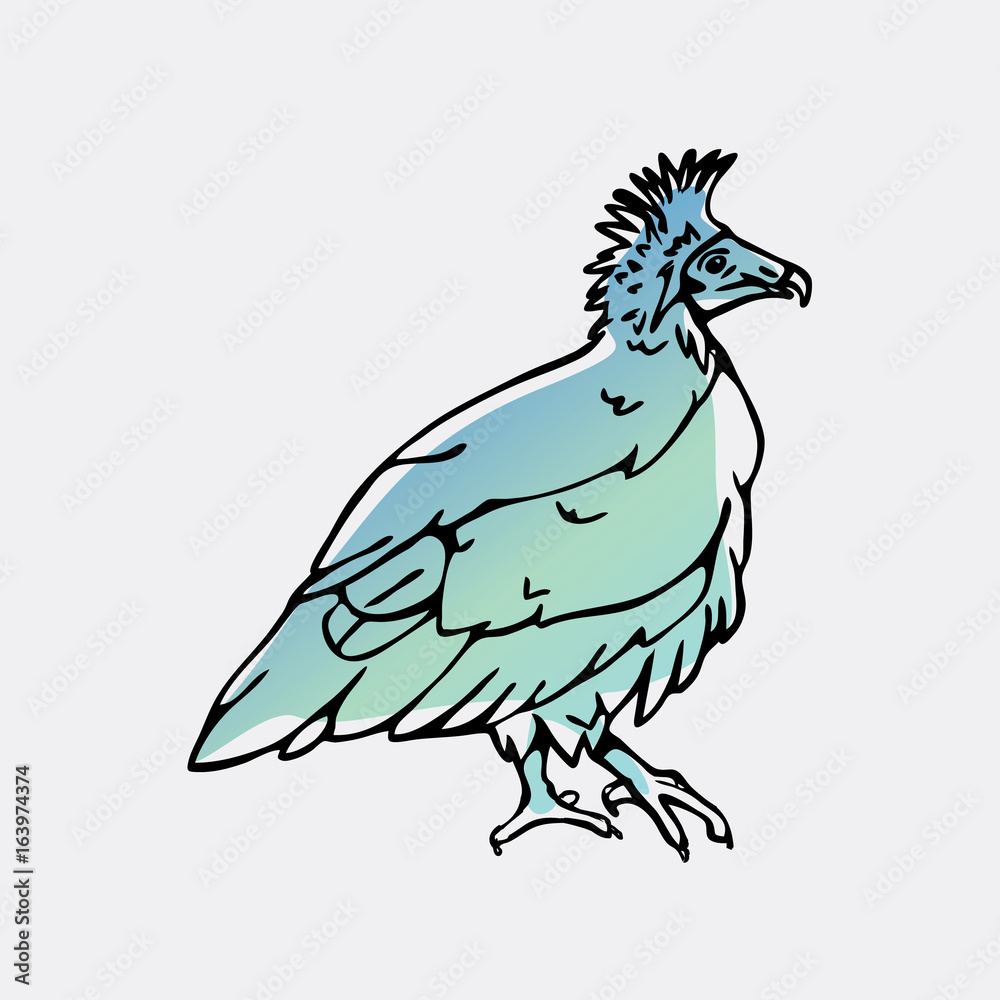 Fototapeta premium Hand-drawn pencil graphics, vulture, eagle, osprey, falcon, hawk, scavenger, condor, karkar, kite.Engraving, stencil style. Bird predator.Logo,sign,emblem,symbol Stamp,seal. Simple illustration Sketch