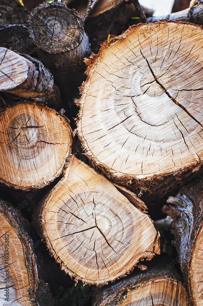 Naklejka premium Stack of wood logs, wooden abstract background. Vertical photography.
