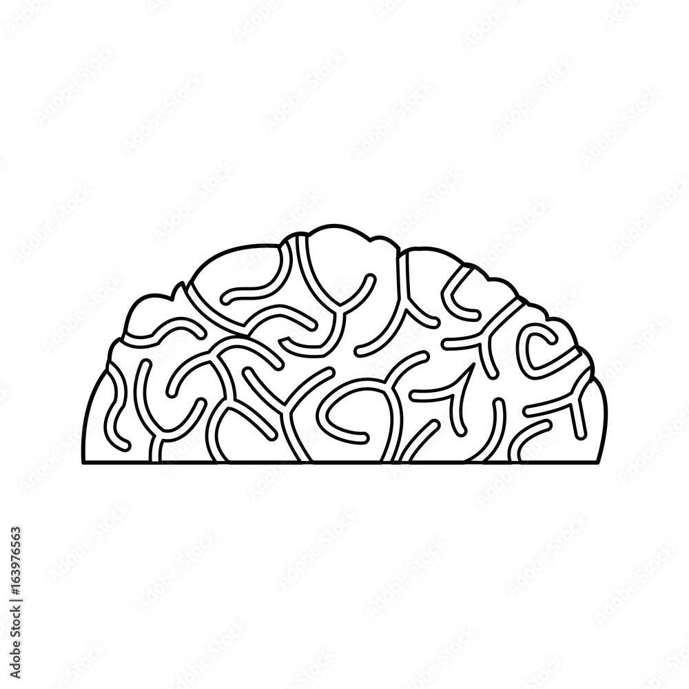 human brain idea creativity thinking memory image human brain idea creativity thinking memory image
