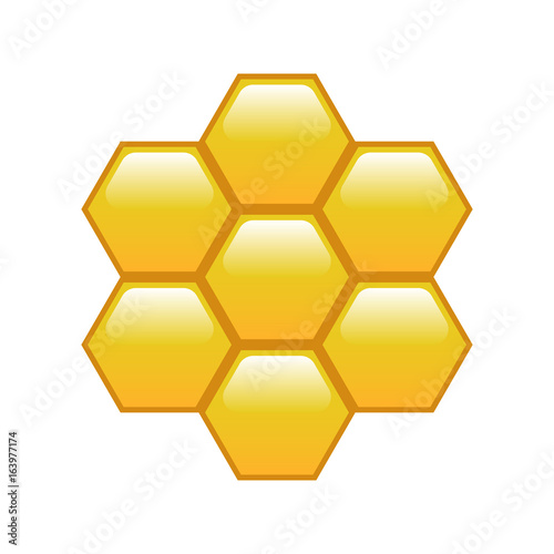 Honey, hexagon. Vector.