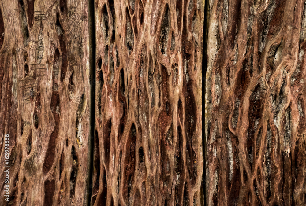 wood texture. background old panels , wood wall wood texture. background old panels , wood wall