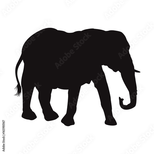 elephant wild animal safari african vector illustration