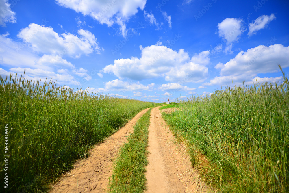 Summer landscape Summer landscape