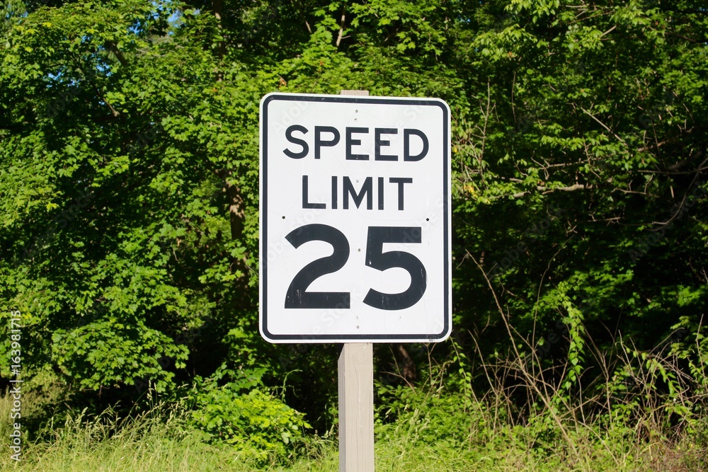 The speed limit sign with the green leaves background.