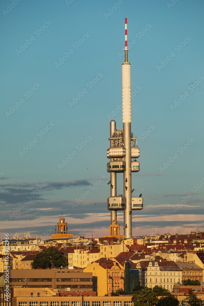 Obraz premium View from the Powder Tower on the Prague landscape on a sunny day with the famous Zizkov TV tower on the horizon