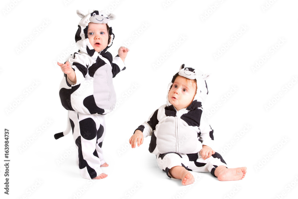 Two babes in a fancy dress cow costume on white background Two babes in a fancy dress cow costume on white background