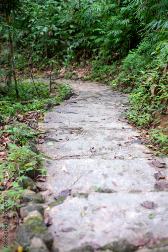 nature walk way