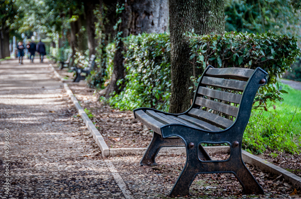 Park benches in line by walk path