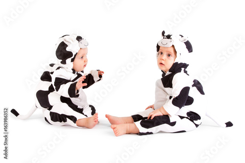 Two babes in a fancy dress cow costume on white background