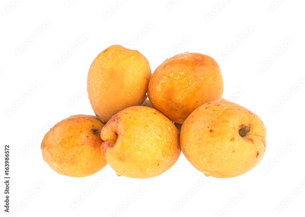 Apricot on white background Apricot on white background