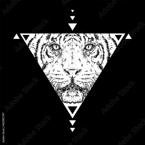 Fototapeta Naklejka Na Ścianę i Meble -  A beautiful tiger. Vector illustration. Wild animal, predator.
