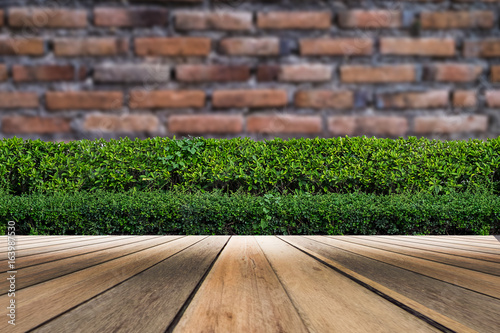 wooden flooring and plant in garden decorative on Brick wall background © Pakkapol