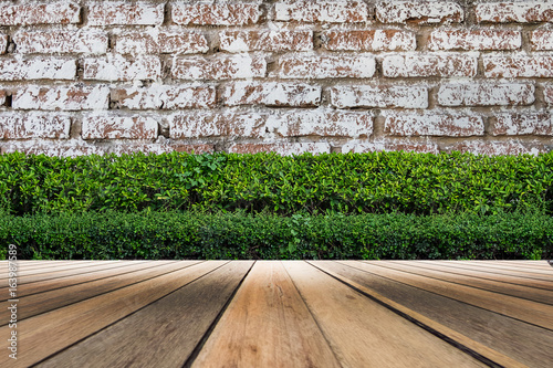 wooden flooring and plant in garden decorative on Brick wall background © Pakkapol
