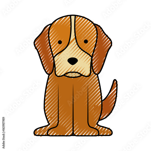 cute dog mascot icon vector illustration design