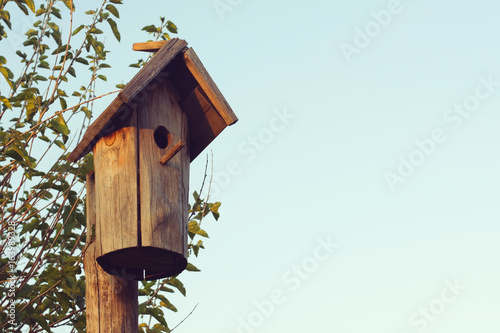 green wooden birdhouse mounted on a stick on the background of blue sky in daytime close shot