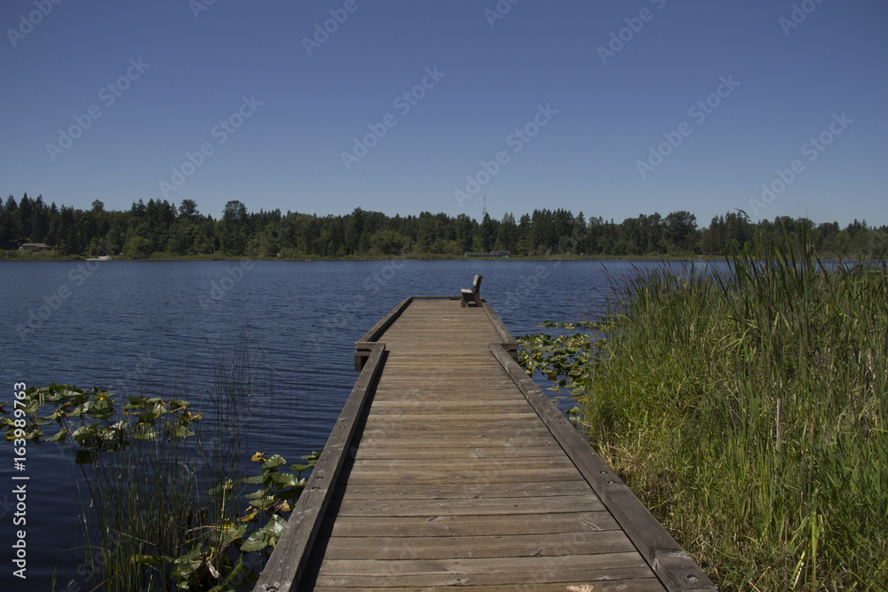 Wooden dock with a lone bench reaching into Lake Cassidy near Lake