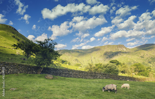 Scenic Dovedale Valley in Lake District UK