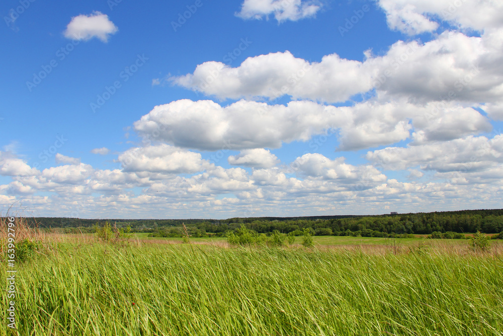 Grass field and blue sky
