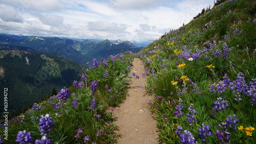 Exploring Washington State, The Great Pacific Northwest