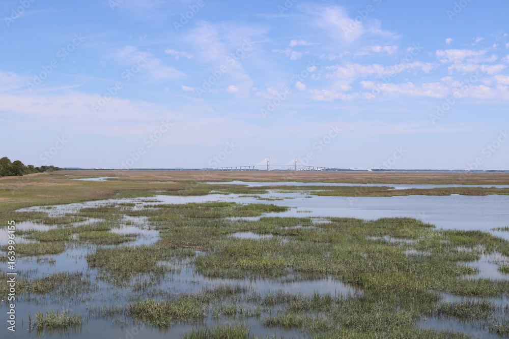 Sidney Lanier Bridge and the Marshes of Glynn, Jekyll Island, Georgia Sidney Lanier Bridge and the Marshes of Glynn, Jekyll Island, Georgia
