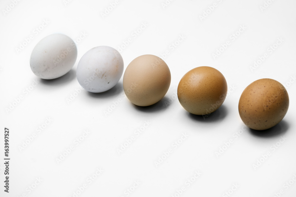 Closeup of fresh organic various eggs Closeup of fresh organic various eggs