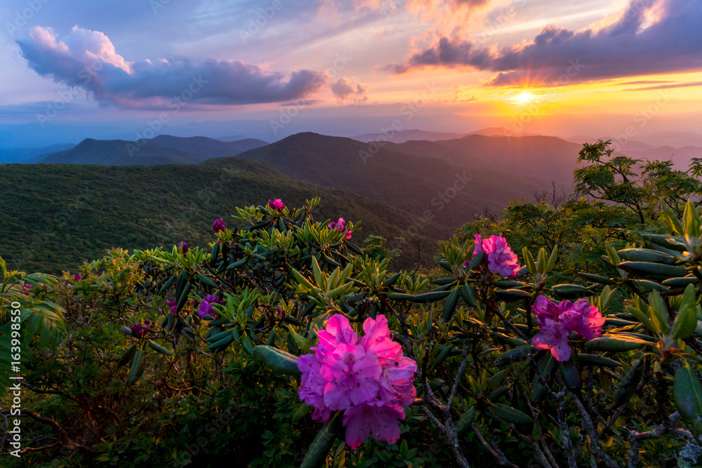 Fototapeta premium Sunset at the Blue Ridge Mountains in the spring is an amazing experience. The explosion of colors from the flowers and wildlife comes alive. 