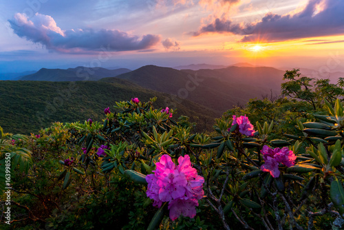 Fotografiet Sunset at the Blue Ridge Mountains in the spring is an amazing experience