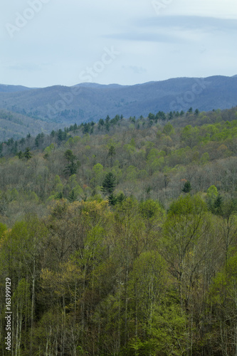 Pisgah National Forest