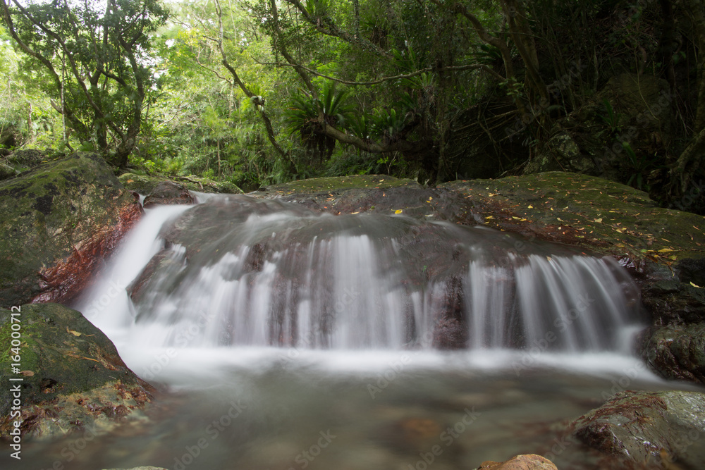 Fototapeta premium 四級親水公園