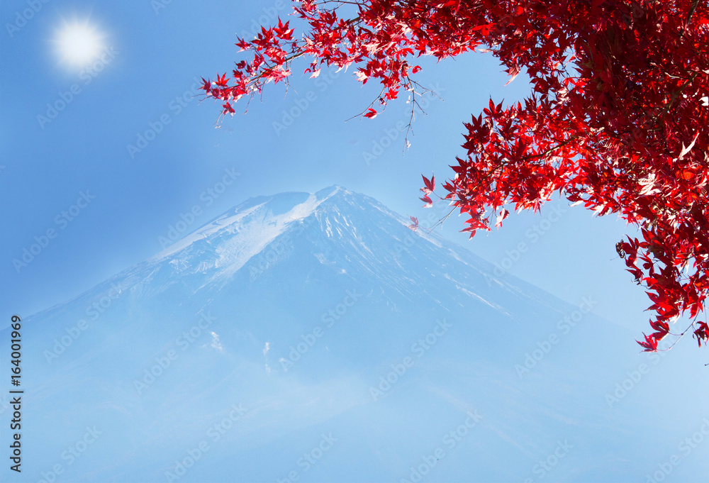 Fototapeta Fuji With Rea maple leaf background