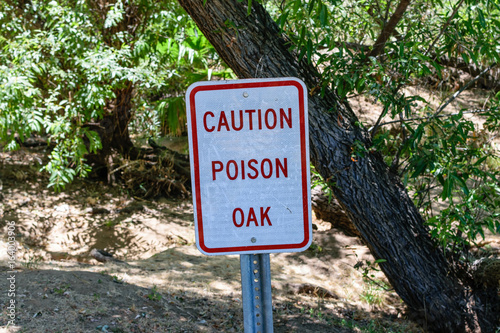Poison Oak caution sign close view