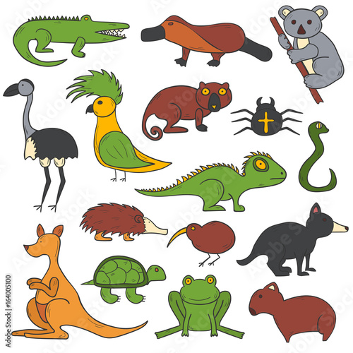 Vector cartoon hand drawn australian animals