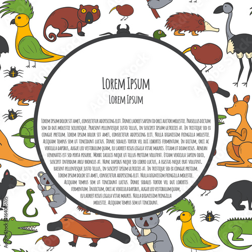 Vector cartoon hand drawn australian animals