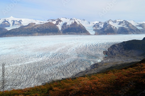 Glaciar Grey photo