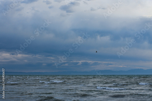 birds flying over surface of cold lake waves at cloudy sky 