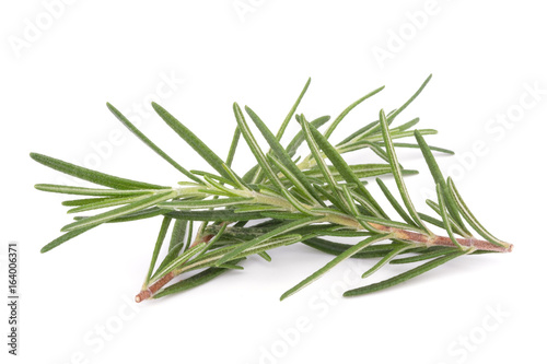 rosemary isolated on white background