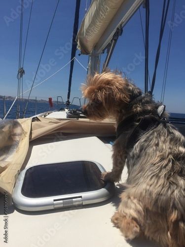 Week end en mer