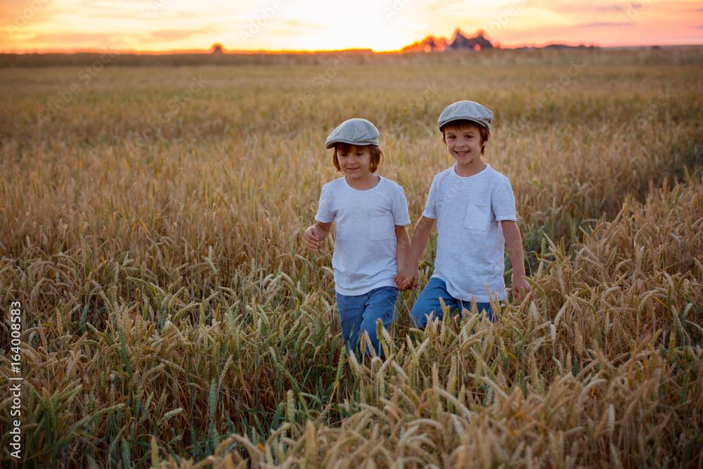 Two cheerful children, boys, walking in a wheat field on sunset