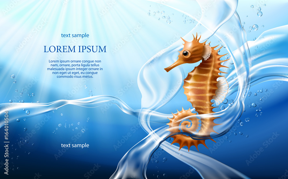 Φωτογραφία Vector illustration, background with flows and drops of crystal clear water of light blue color and sea horse