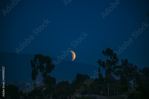 Φωτογραφία The 2014 blood moon in San Diego California