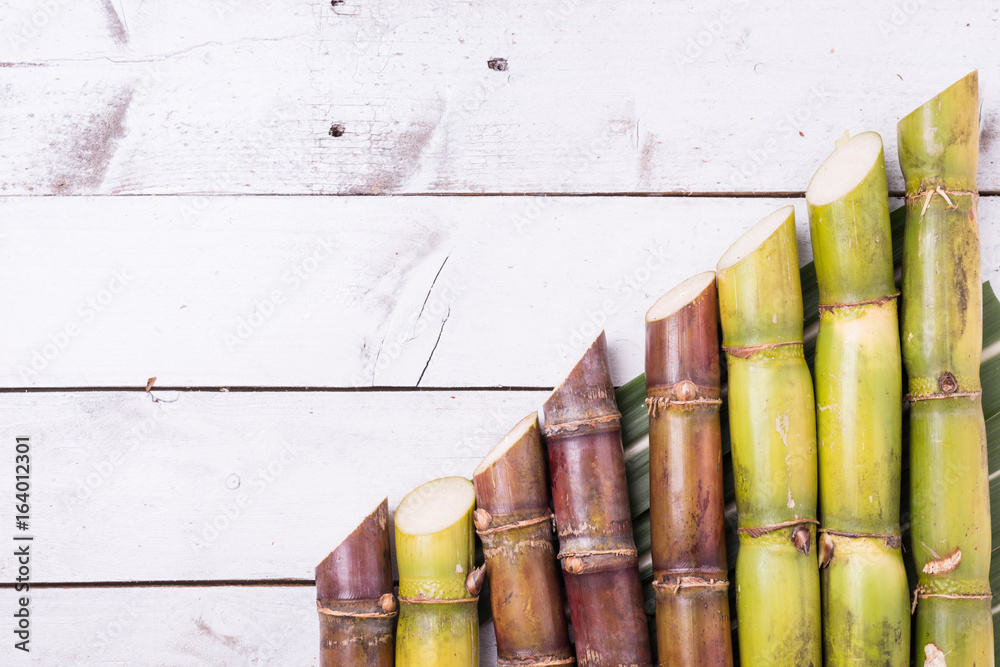 Sugarcane and green leaf close up Sugarcane and green leaf close up