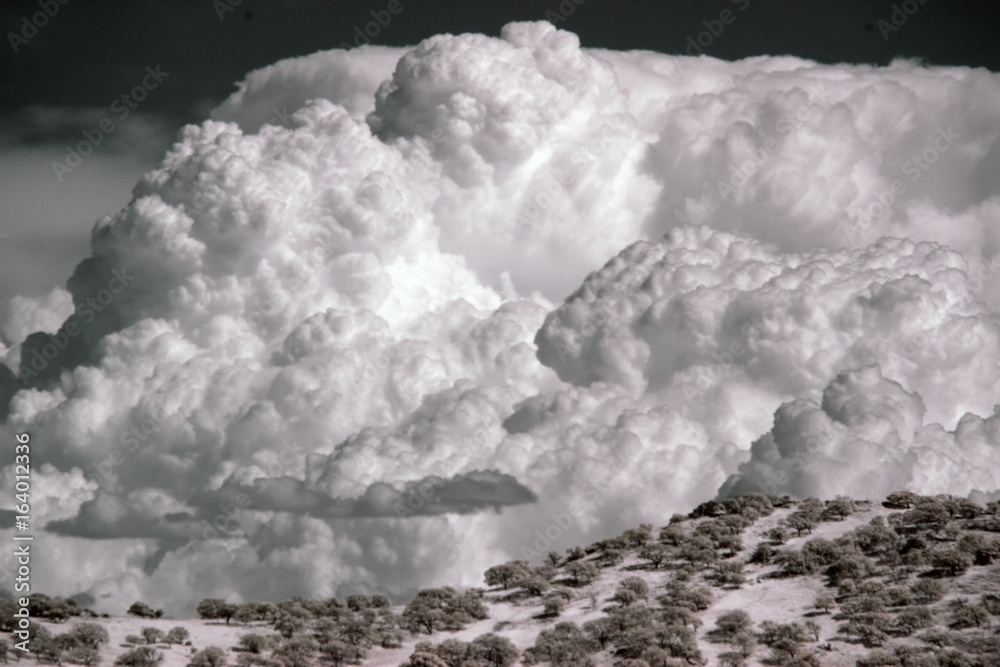 Canvas-taulu CALIFORNIA THUNDERHEAD