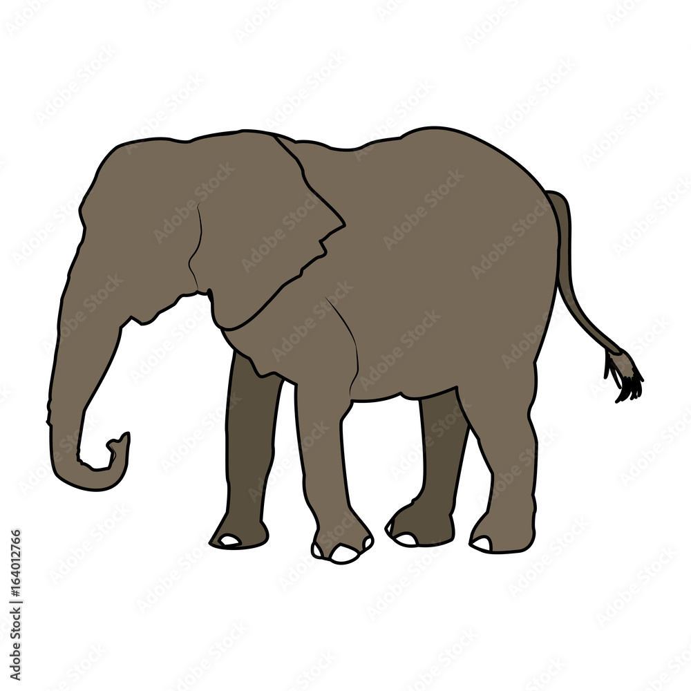 Fototapeta premium elephant wild animal safari african vector illustration