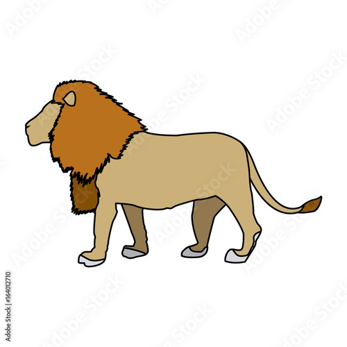 big lion african proud powerful nobility standing and fierce vector illustration