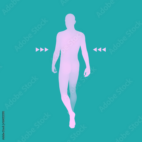 Walking Man. 3D Human Body Model. Design Element. Vector Illustration.