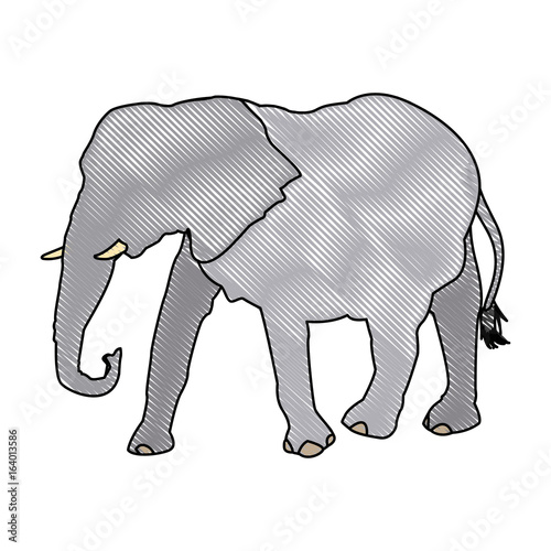 Fototapeta Naklejka Na Ścianę i Meble -  elephant wild animal safari african vector illustration