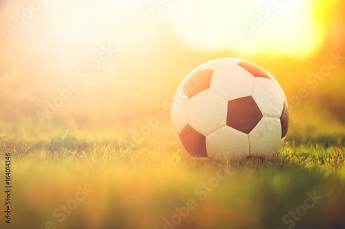 A ball on the grass in the morning sunshine day. Picture for soccer football and sport concept. Film tone picture style.