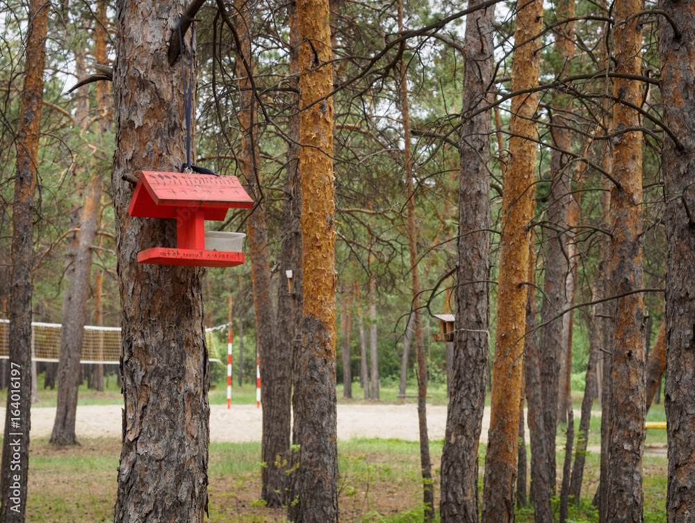 makeshift houses for the birds in the Park makeshift houses for the birds in the Park